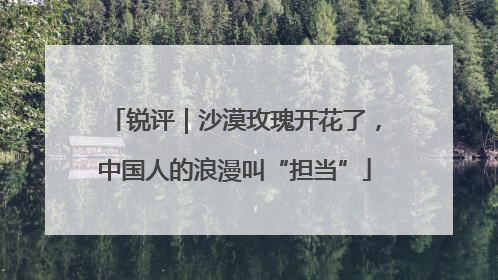 锐评｜沙漠玫瑰开花了，中国人的浪漫叫“担当”